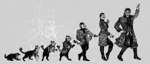 Эволюция кошек