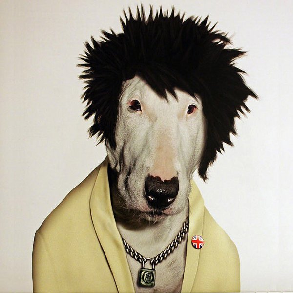 Собака в человеческой одежде