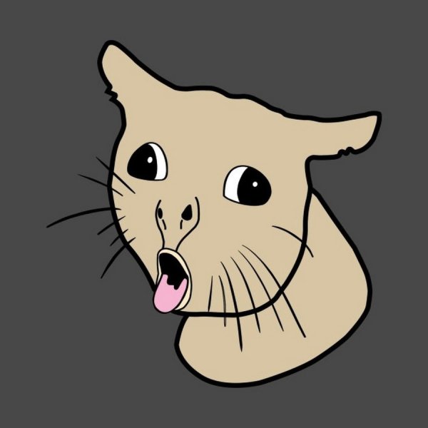 Кошка кашляет Мем