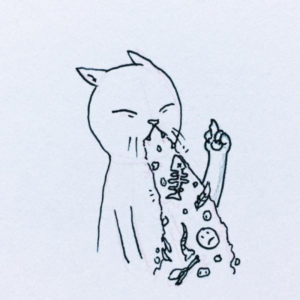 Кота тошнит