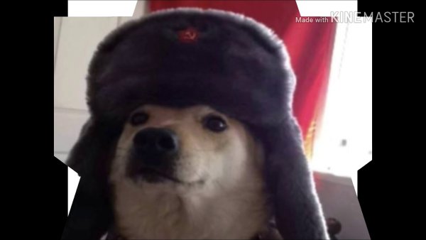 Собака коммуняка