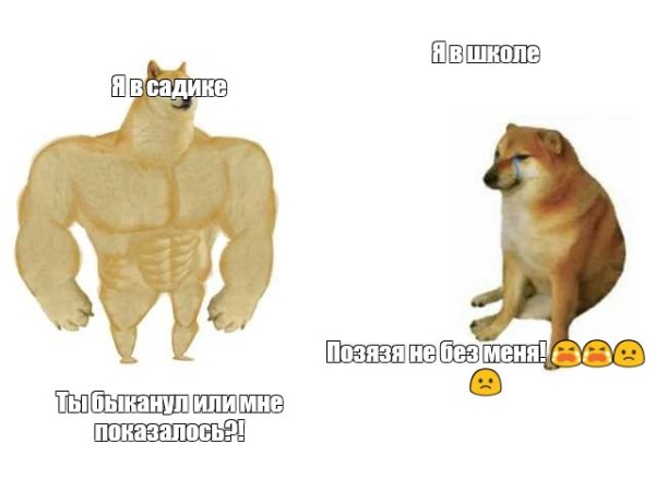 Собака качок Мем