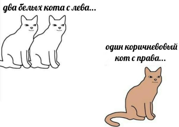 Ржение кот