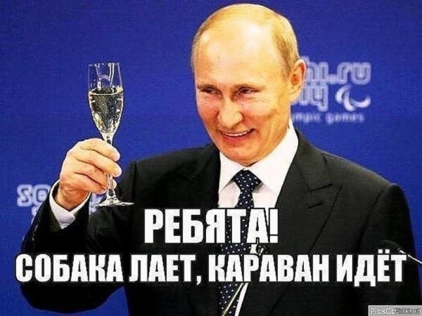 Собака лакт корован идет