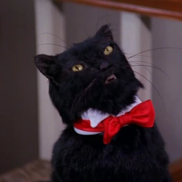 Сейлем Сабрина маленькая ведьма