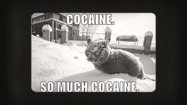 So much cocaine Мем