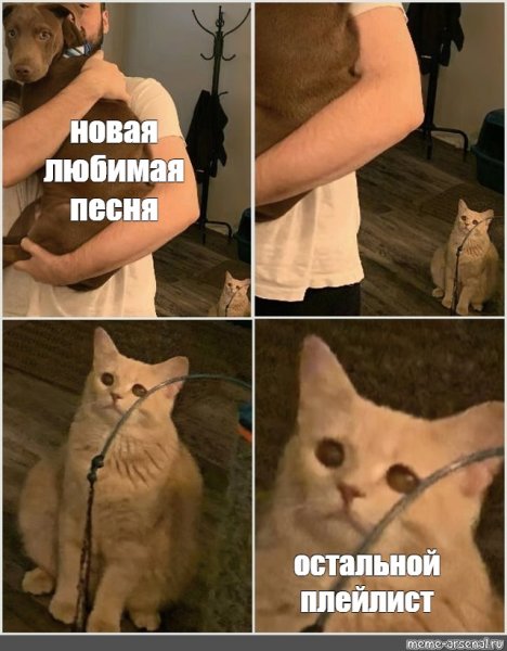 Кот с мемов