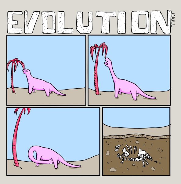 Эволюция Мем