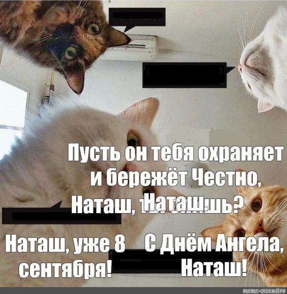 Наташа и котики мемы
