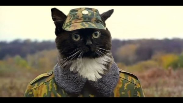 Чмоня Пупсич