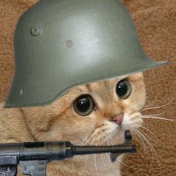 Солдат с котенком