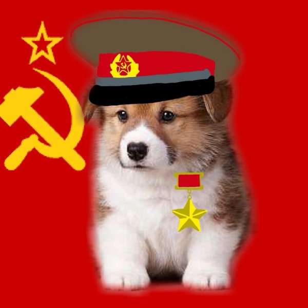 Коммунистическая собака