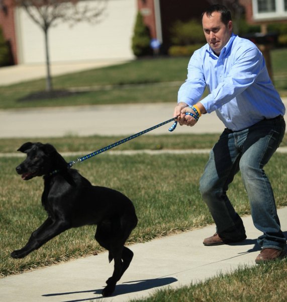 Дог пуллинг