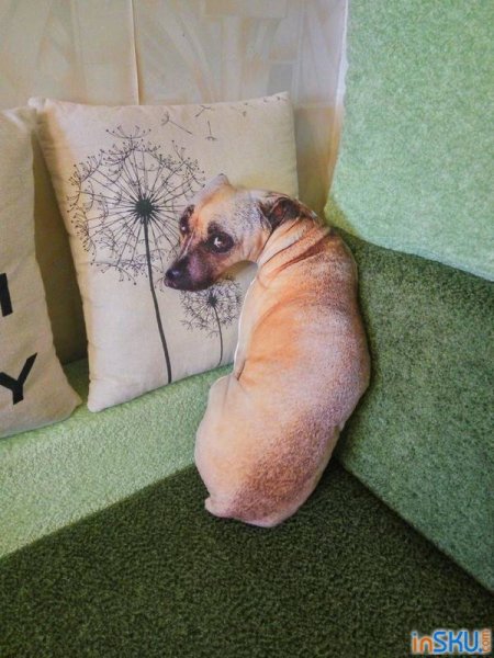 Смешные собаки на подушках