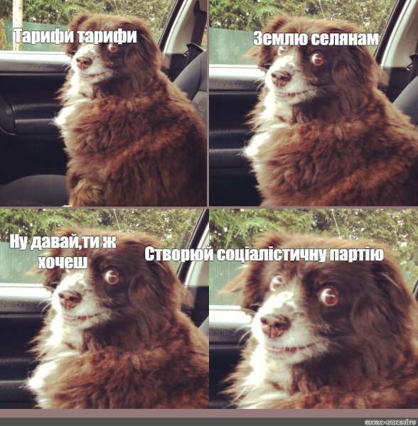 Заводи это собака Мем