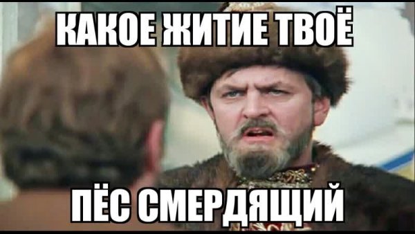 Какое житие мое пёс смердящий