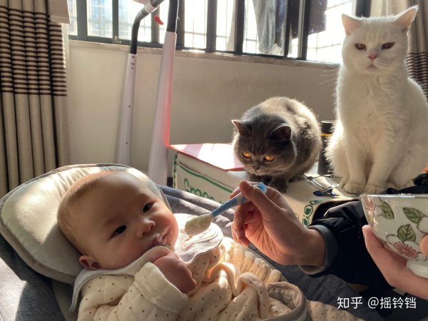 Ребёнок ладит больную кошку