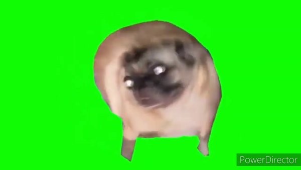 Хагги Вагги Грин скрин