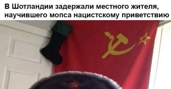 Котик в шапке ушанке СССР