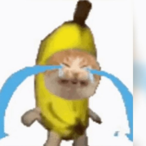 Кот бананчик плачет