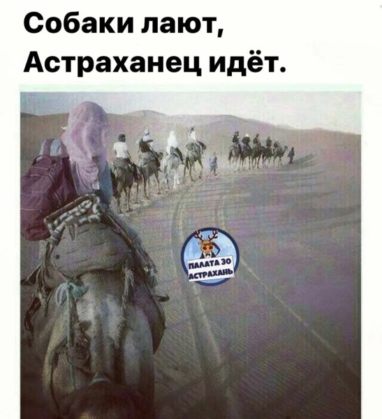 Сабаки Лаию каравани ИДТ