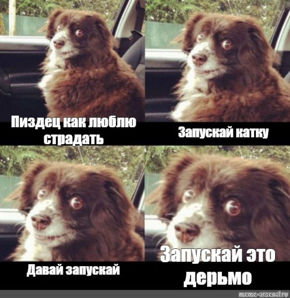 Заводи это собака