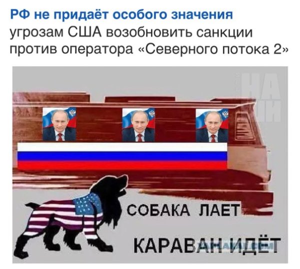 Собаки лают Караван идет