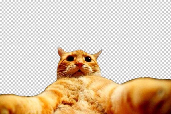 Джонни Кэтсвилл Мем