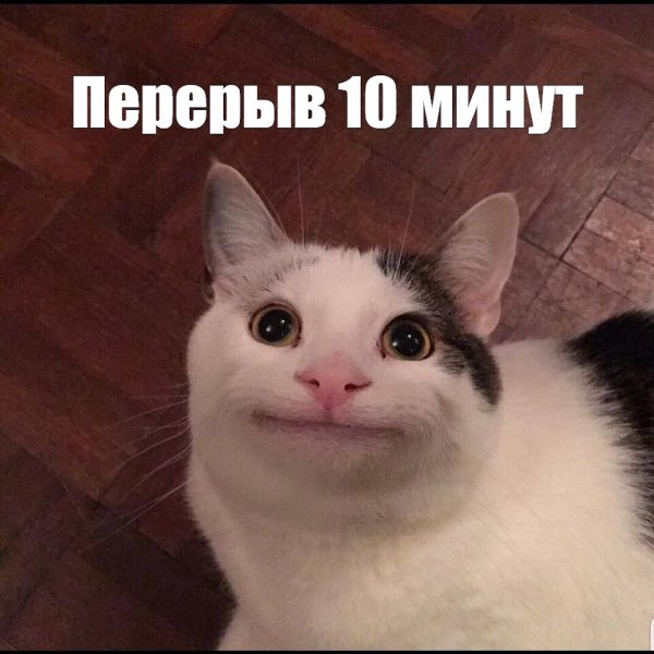 Мемы с улыбающимся котом