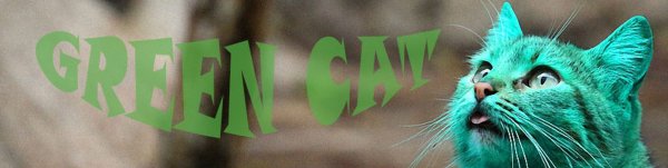 Баннер с котиками