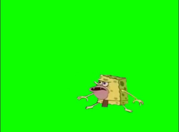 Зеленый кот