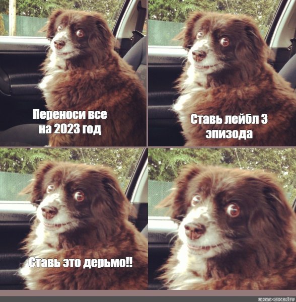 Мемы с собаками 2023