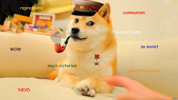 Doge Сталин