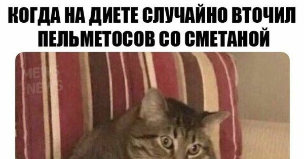 Жирные вздохи сожаления Мем