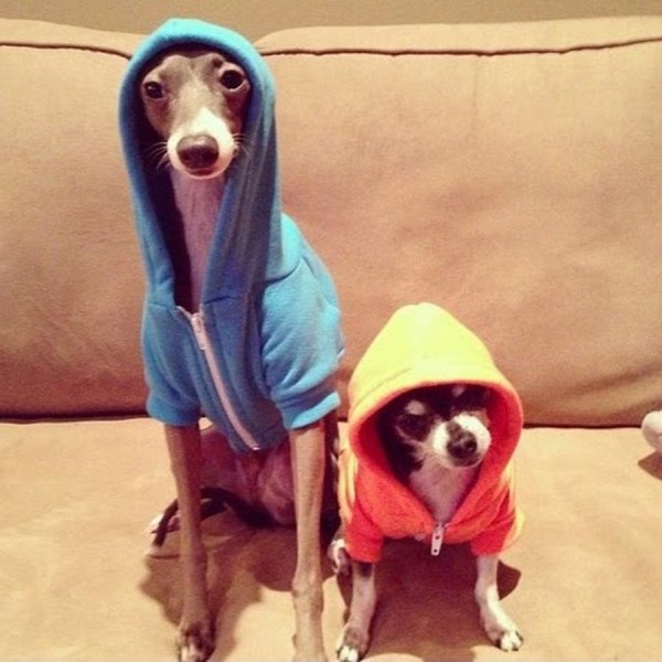 Славик я очкую