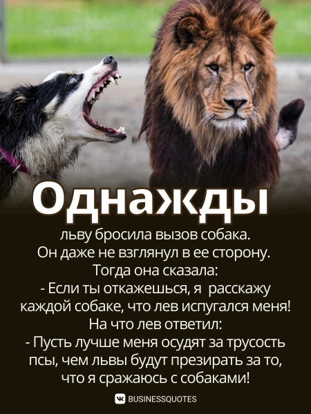 Собаки лают Караван идет