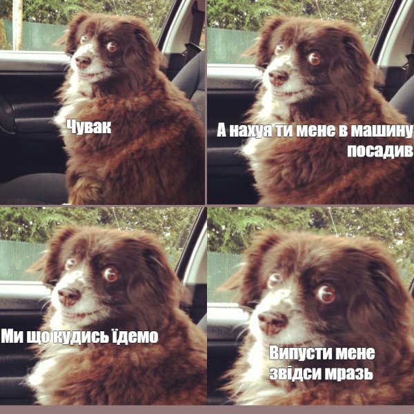 Пиздец как люблю кататься заводи это дерьмо