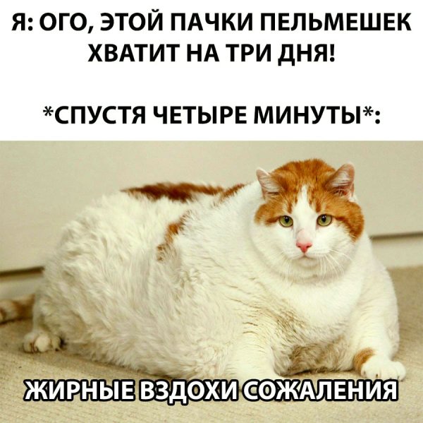 Жирные вздохи Мем