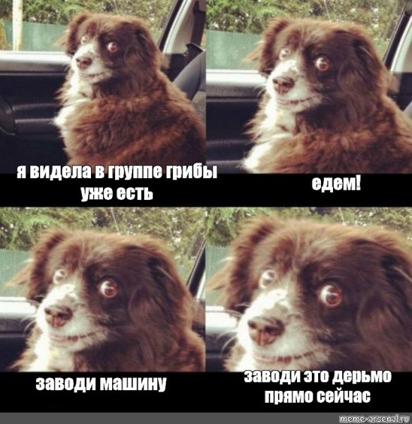 Заводи заводи это дерьмо