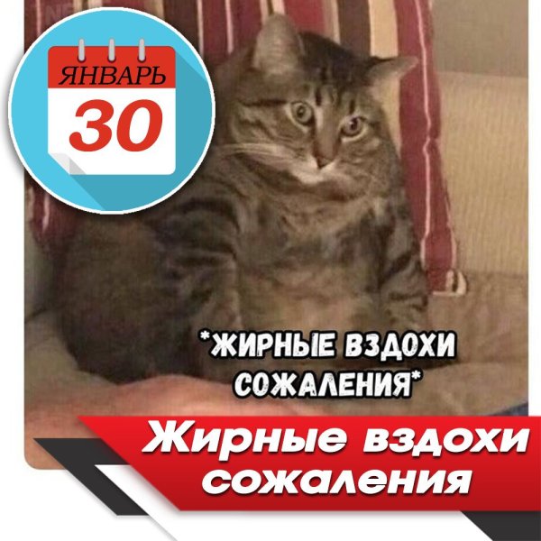 Жирные вздохи сожаления