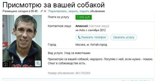 Панин и собака Мем