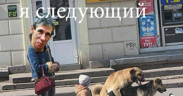 Алексей Панин мемы с собакой