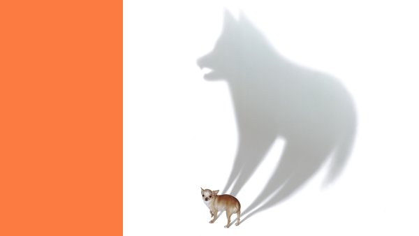 Мем тень волка