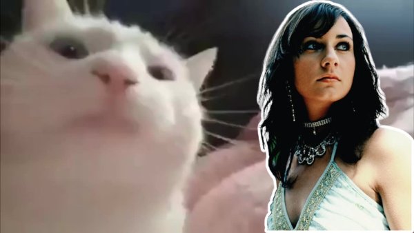 Кивающий кот