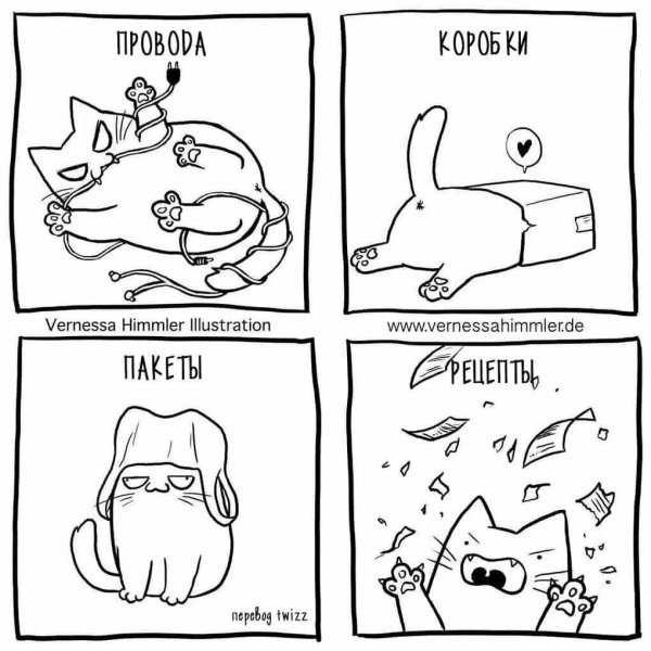 Котики комиксы смешные