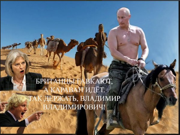 Собака лакт корован идет