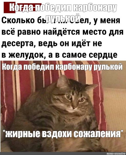 Толстый кот Мем толстый вздох