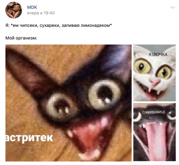 Чипсеки Мем в хорошем качестве