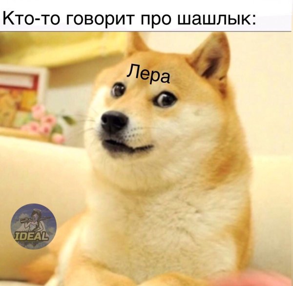 Сиба ину доги Мем