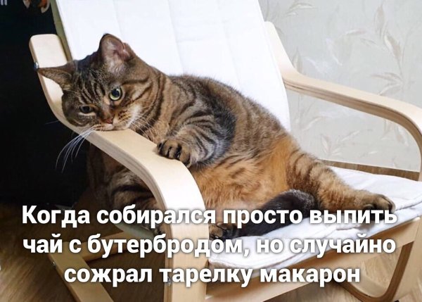 Жирные вздохи сожаления Мем